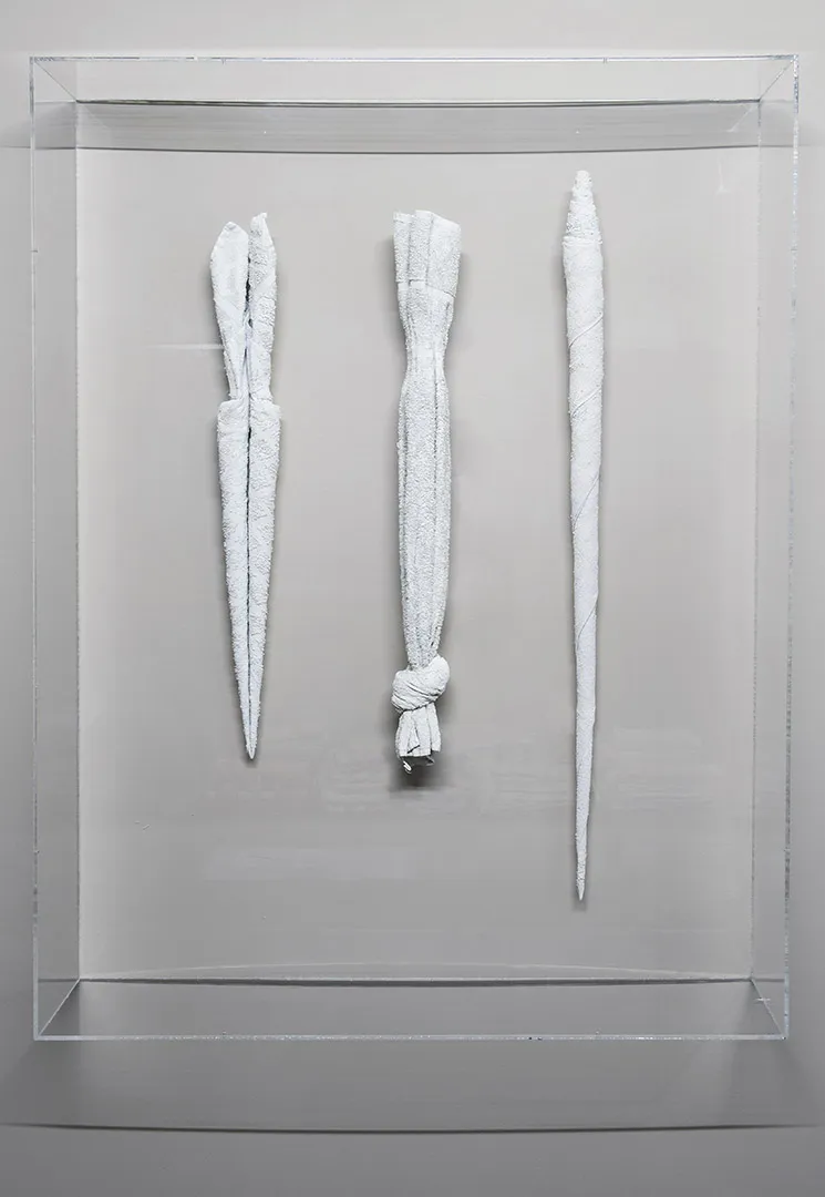 Carrot, blanket party flail & rat’s tail View 1