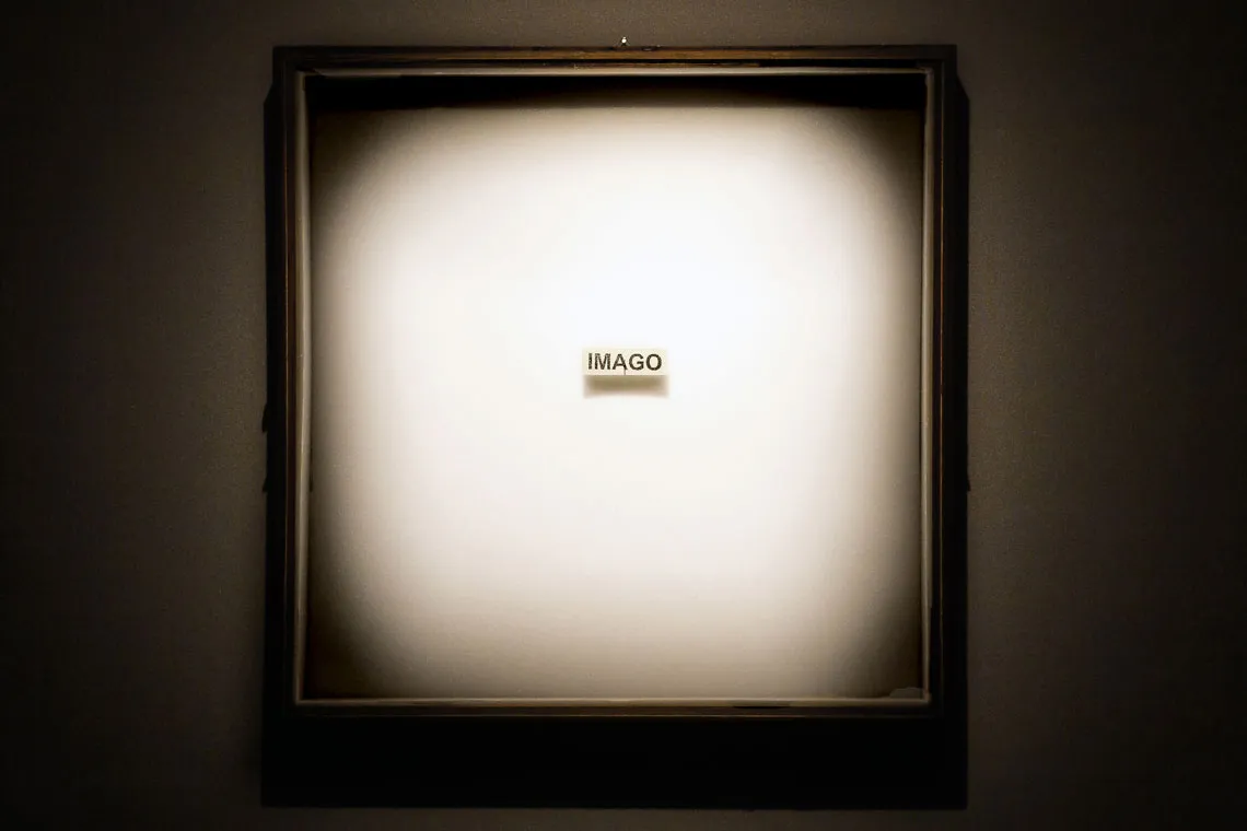 Rekonstruktura View 1