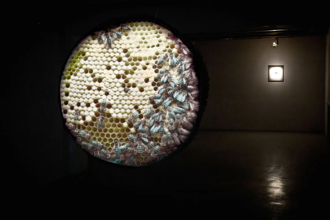 Rekonstruktura View 3