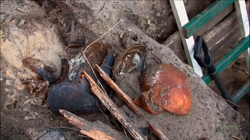 The cannibalism of the eye View 1