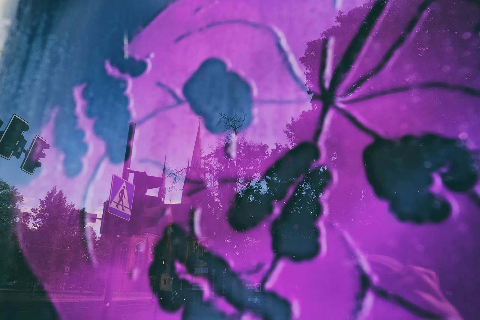 Tinder mandala View 33