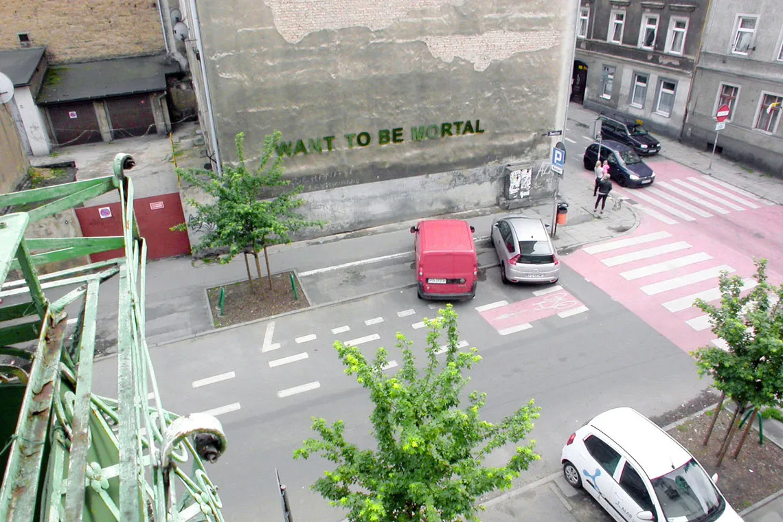 Want to be mortal View 3